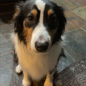 Meet your Posher, Lydia